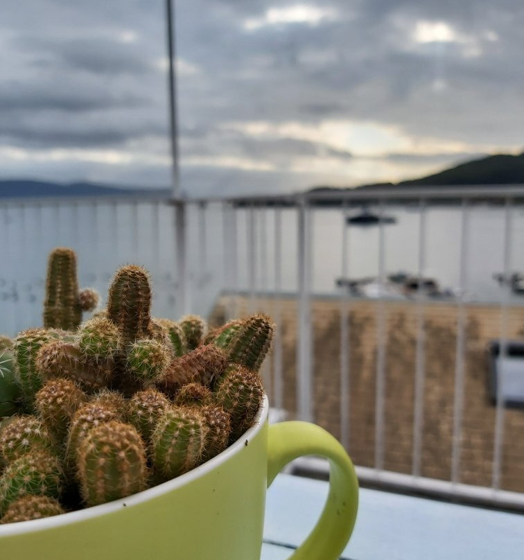 Affittacamere La Tortuga主图