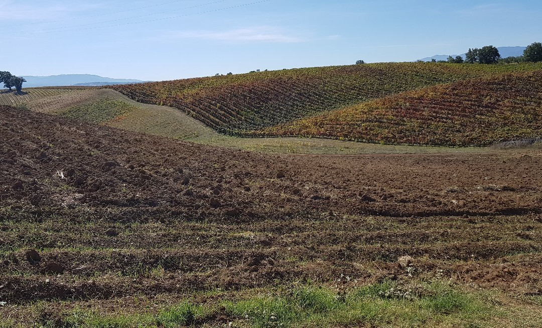 Castello di Serragiumenta主图