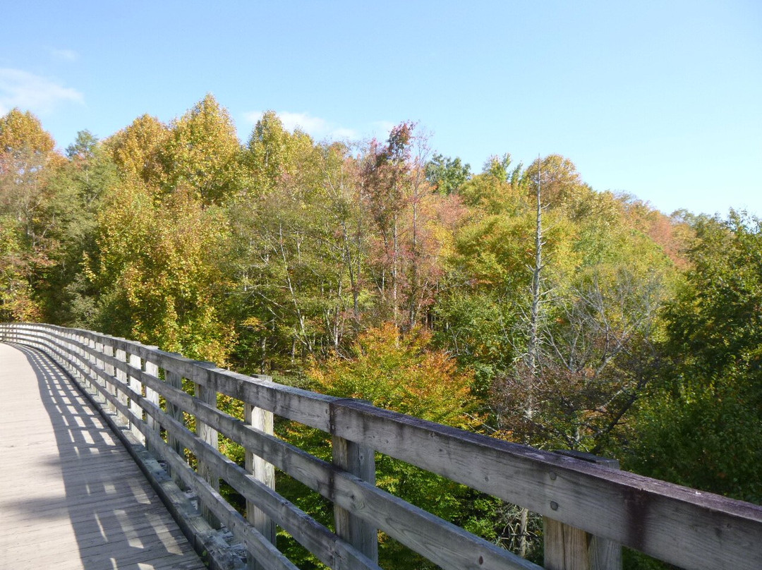 Bicycle Junction-Damascus必去景点
