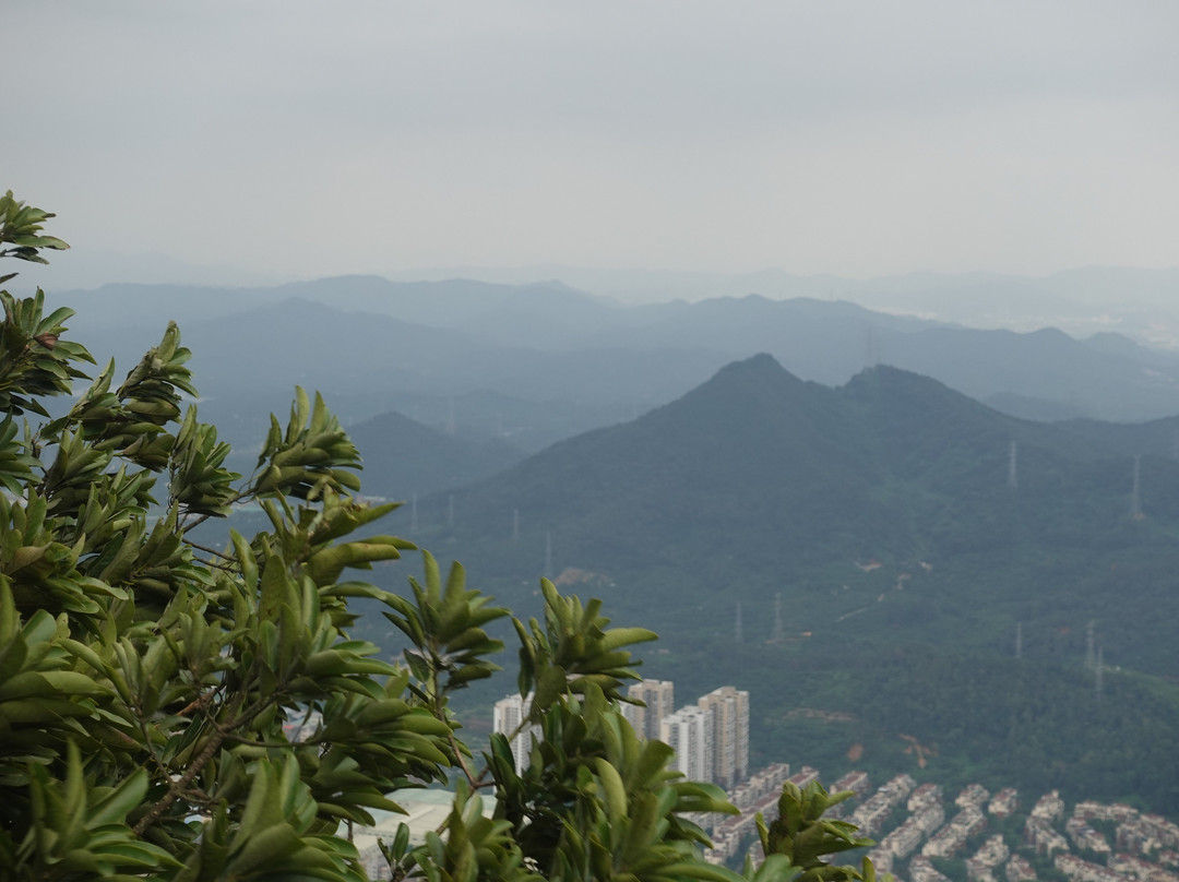 东莞莲花山景点图片