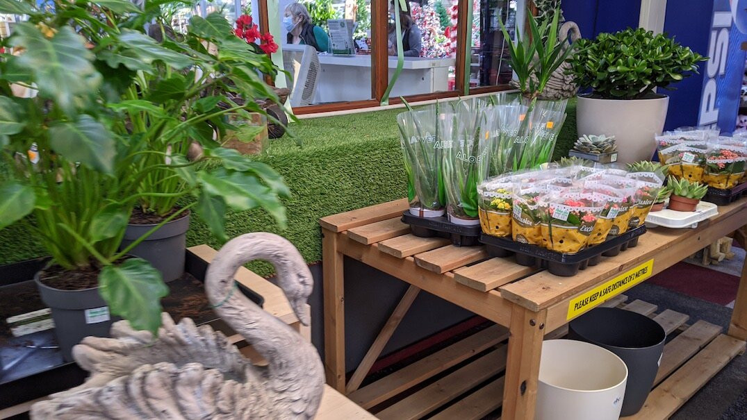 Rouken Glen Garden Centre-Giffnock必去景点