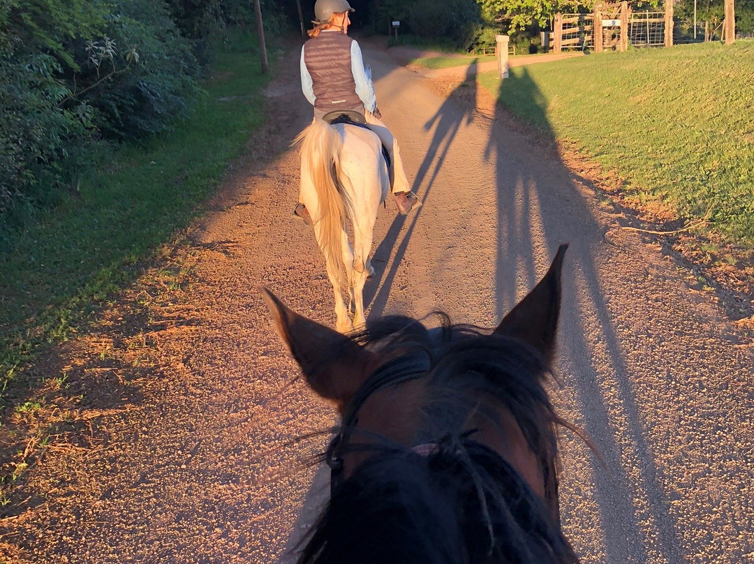 Kerewong Horse Farm Nsw-Lorne必去景点