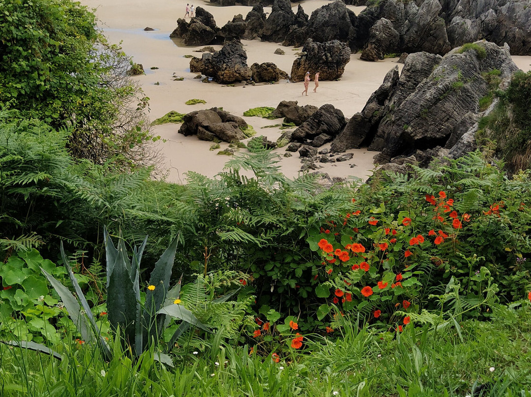 Playa de Borizu景点图片