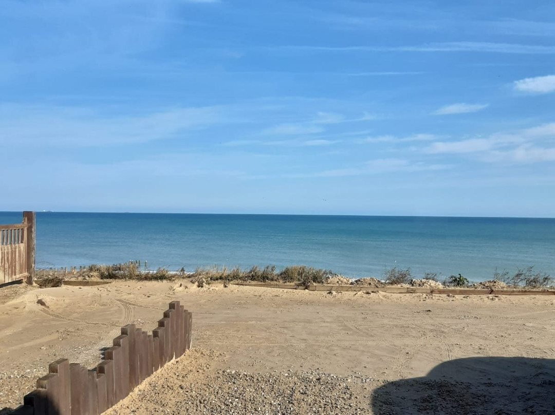 Barn & Beach主图