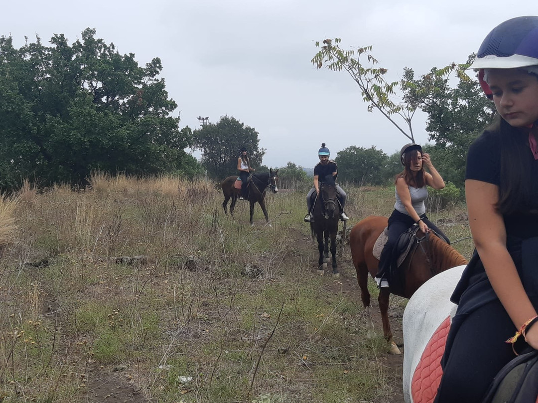 Sicily Horse Riding景点图片