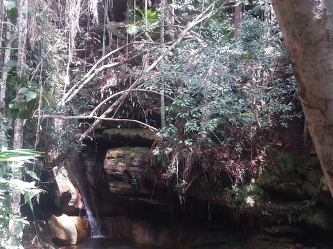 Pousada Toca Do Coelho主图