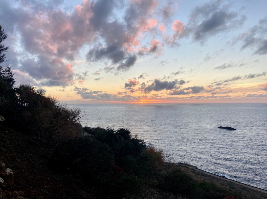 Escursioni Ciprea Ustica-Ustica必去景点