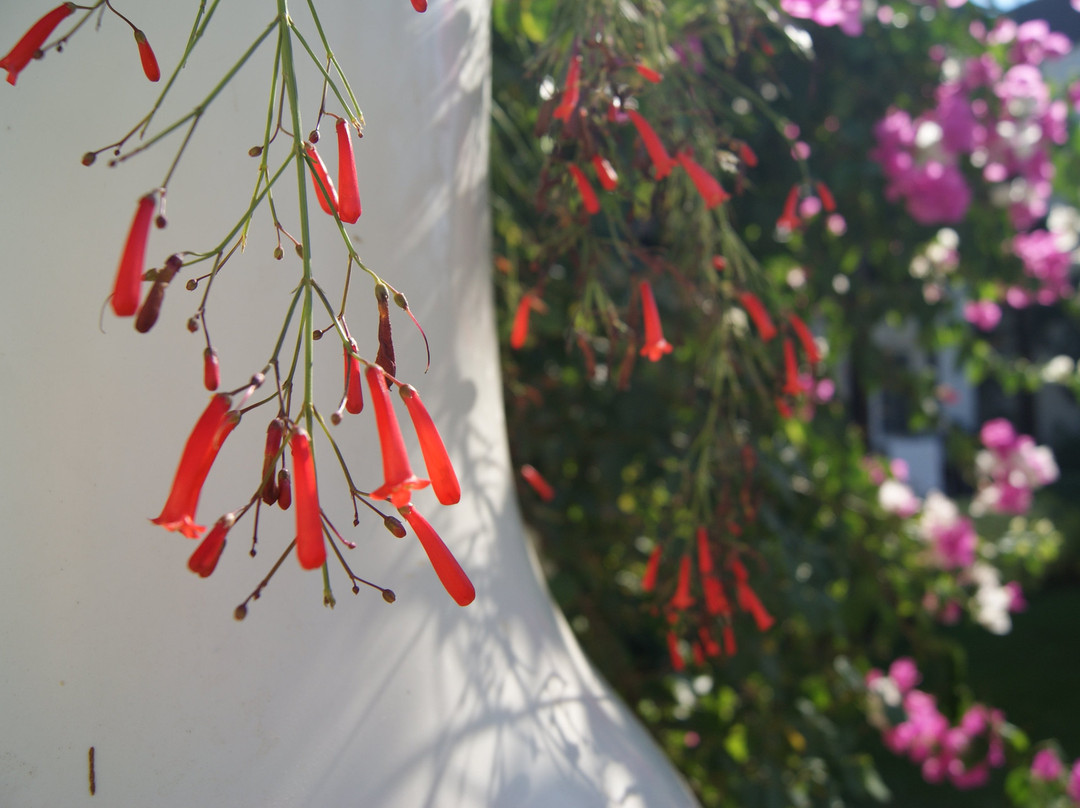 Bitez Garden Life Hotel & Suites主图
