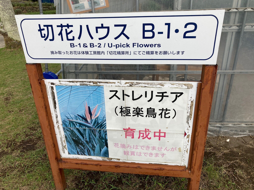Tateyama Family Park-馆山市必去景点
