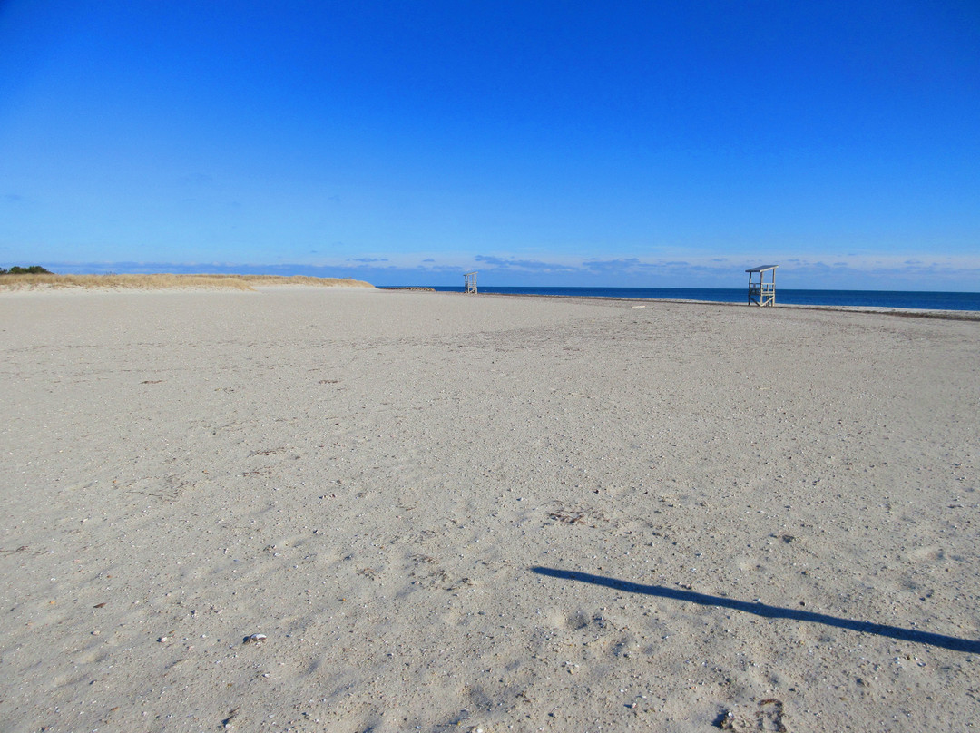 Seagull Beach景点图片