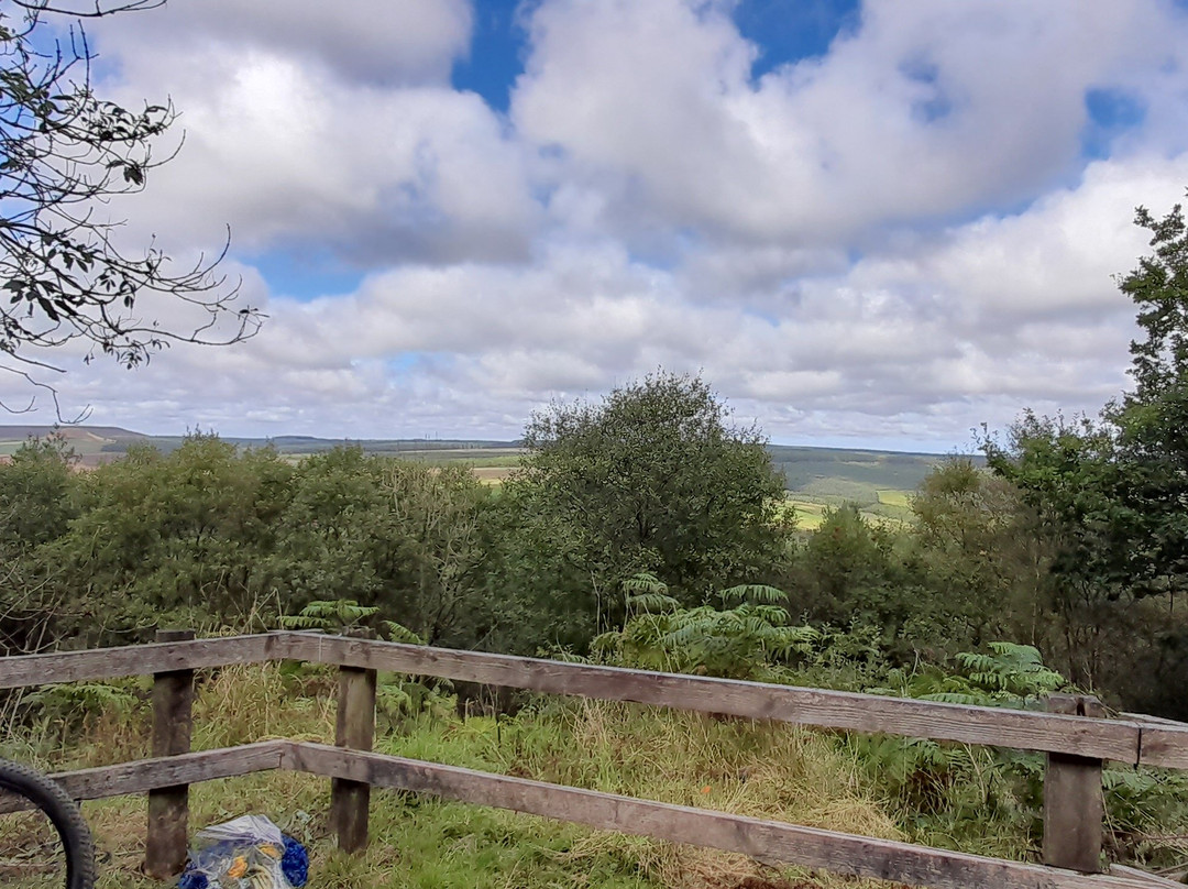 Dalby Forest Cycle Hub景点图片