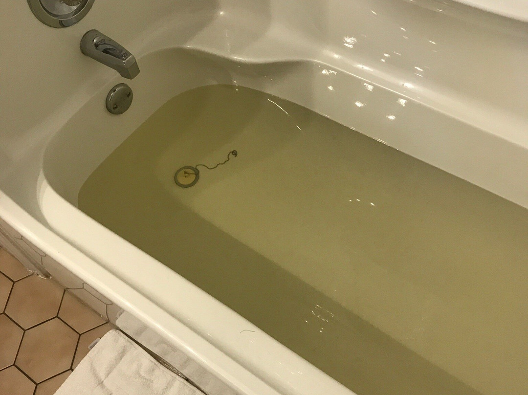 Travelodge By Wyndham Rigaud主图