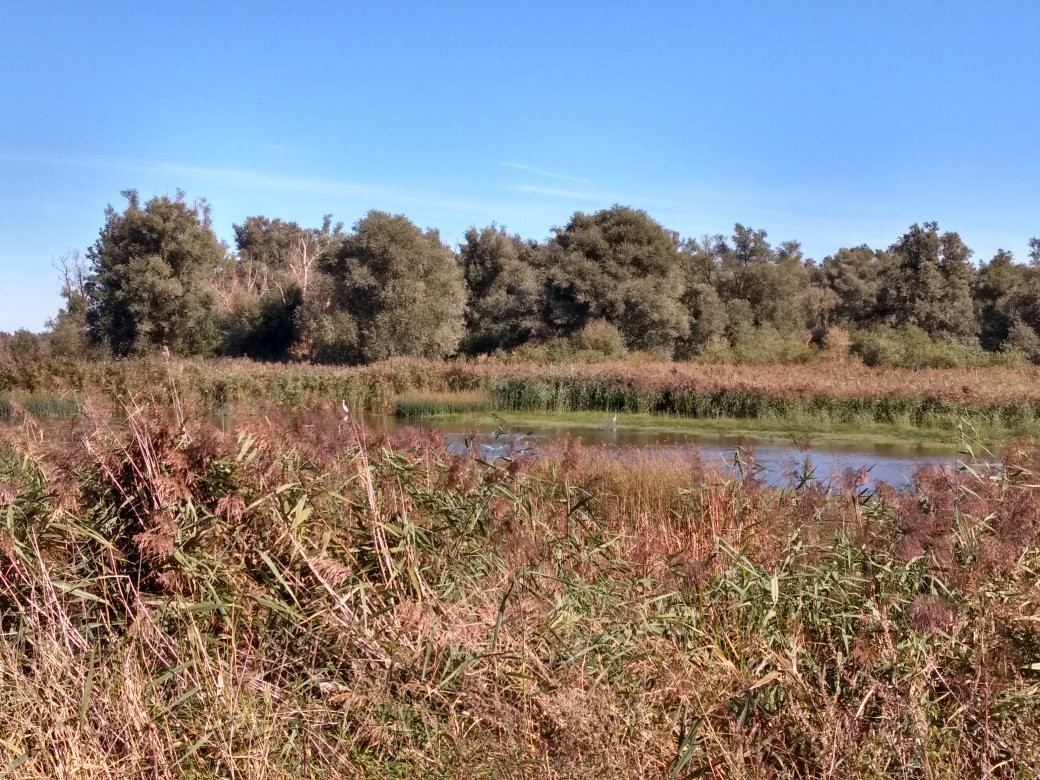 Oostvaardersplassen-阿尔梅勒必去景点