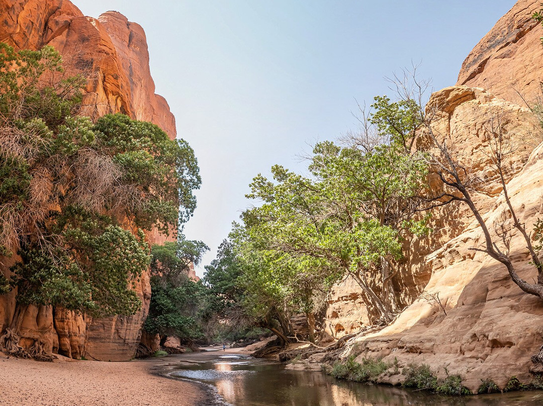 Guelta De Bachikele景点图片