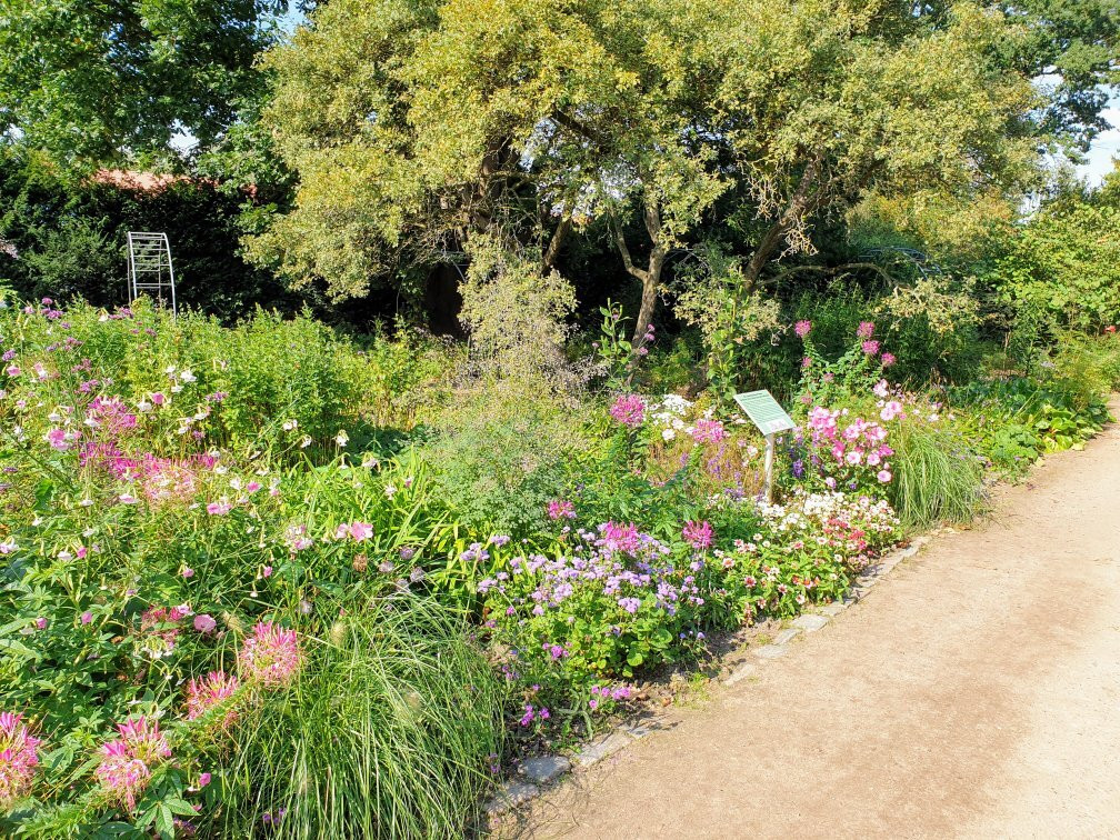 Arboretum Ellerhoop景点图片