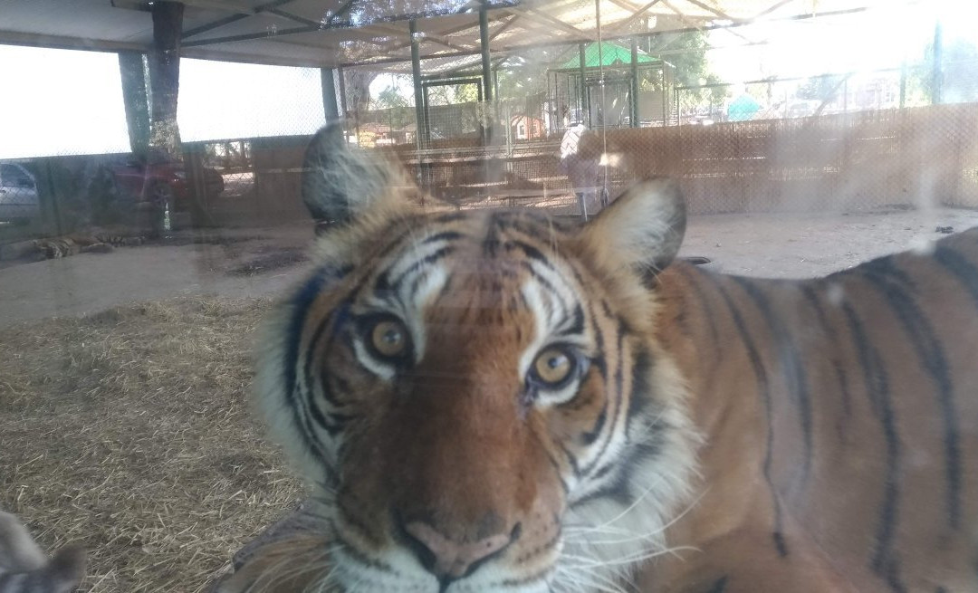 ZOO Lujan景点图片