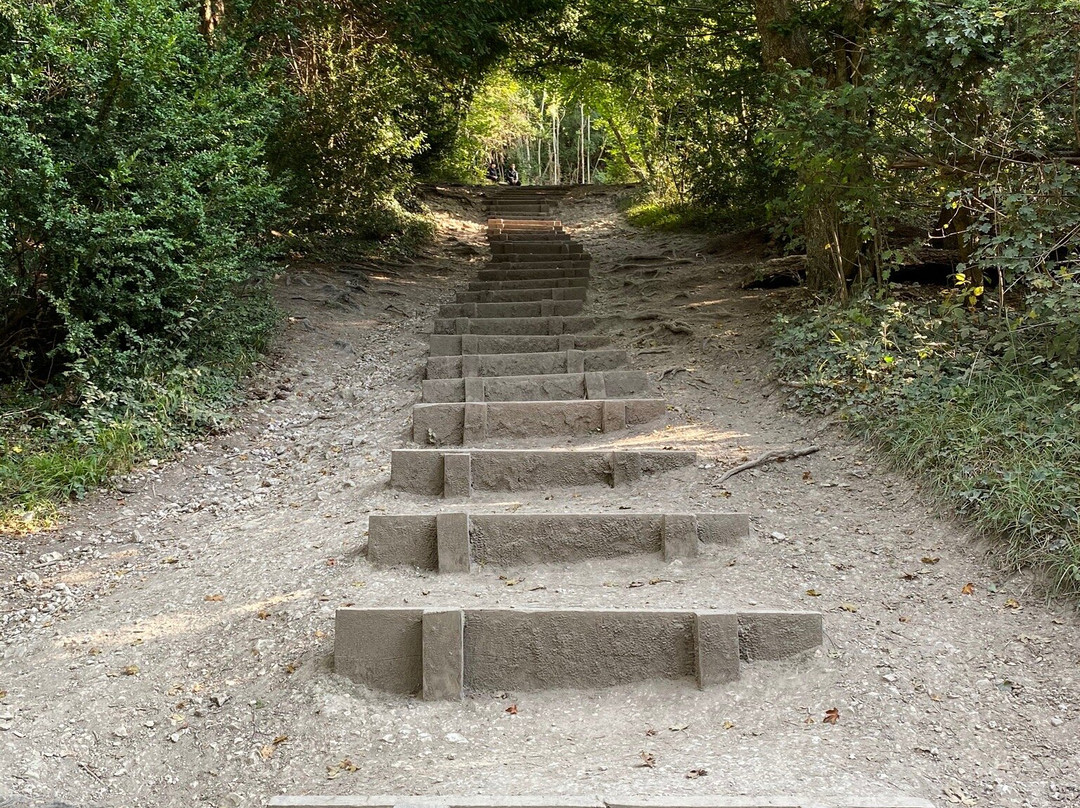 National Trust Box Hill Stepping Stones景点图片