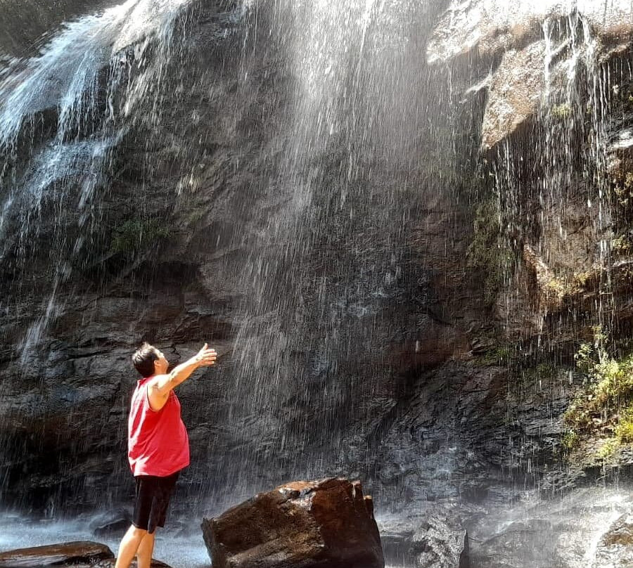 Floresta Estadual Uaimii-欧鲁普雷图必去景点