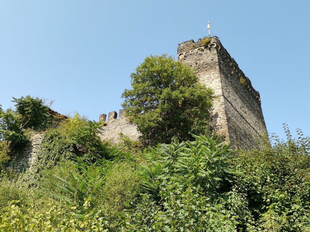 Burg Altwied景点图片