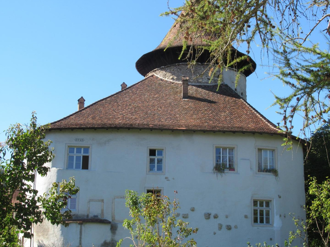 Zwingen旅游攻略图片