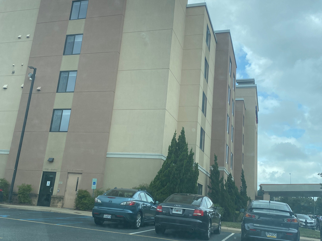 SpringHill Suites by Marriott Chesapeake Greenbrier主图