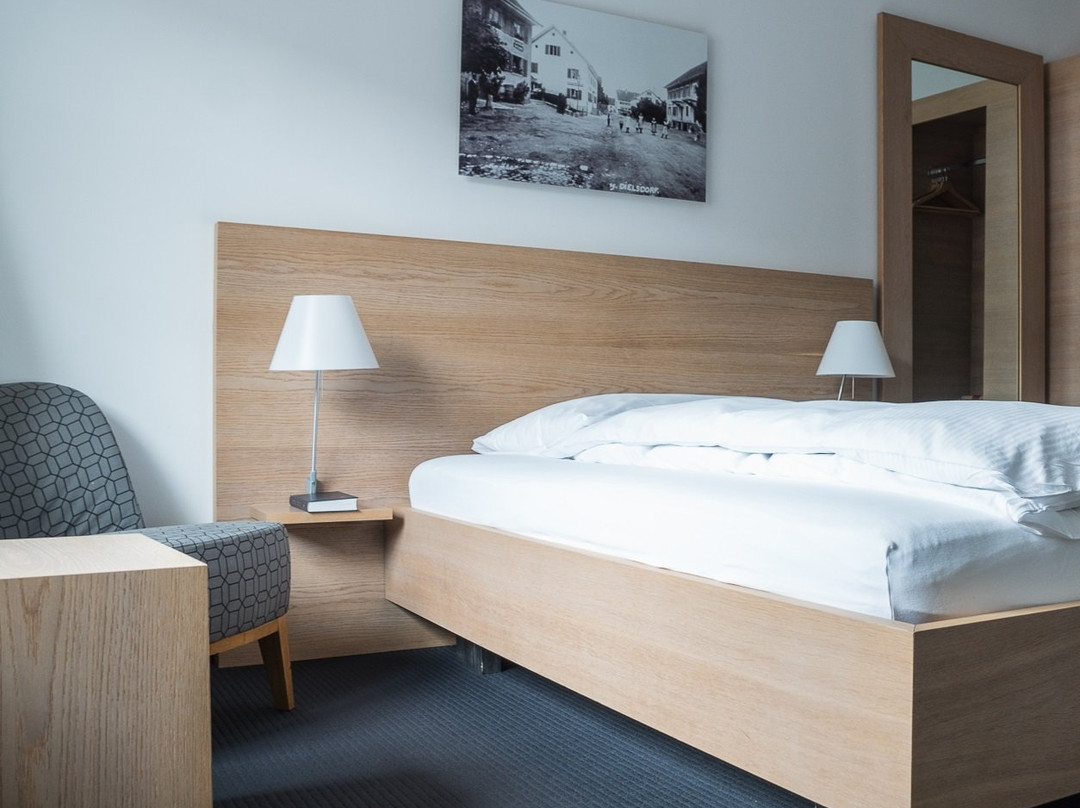 Hotel Restaurant Löwen Dielsdorf主图