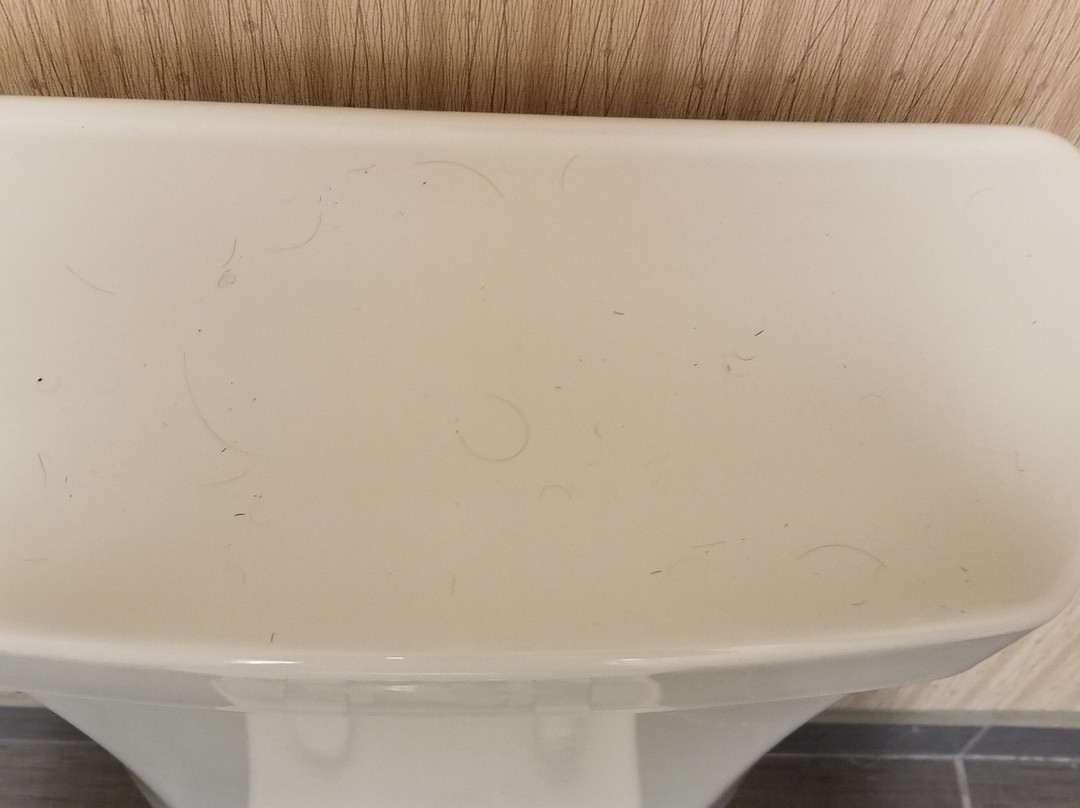 Homewood Suites By Hilton Southington, CT主图