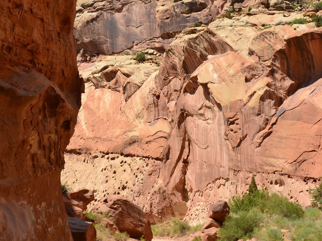 Capitol Reef National Park Visitor Center景点图片