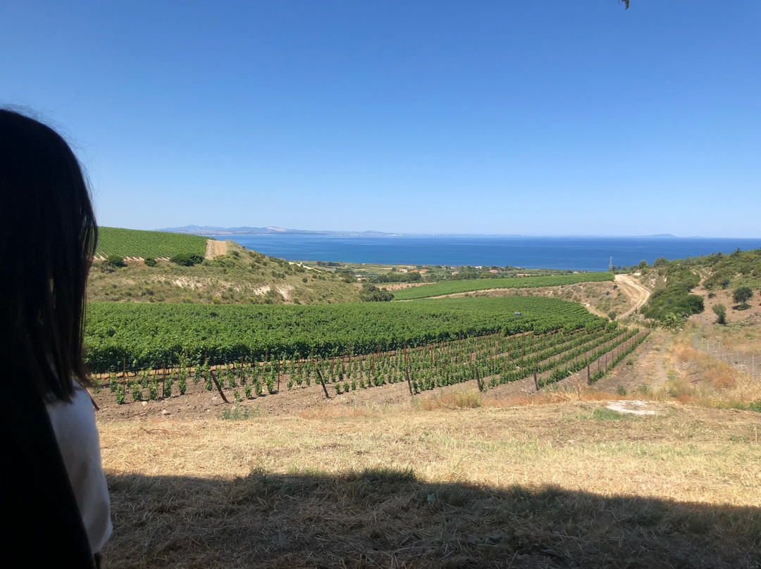 Tenuta Asinara Bistrot & Degustazione-Sorso必去景点