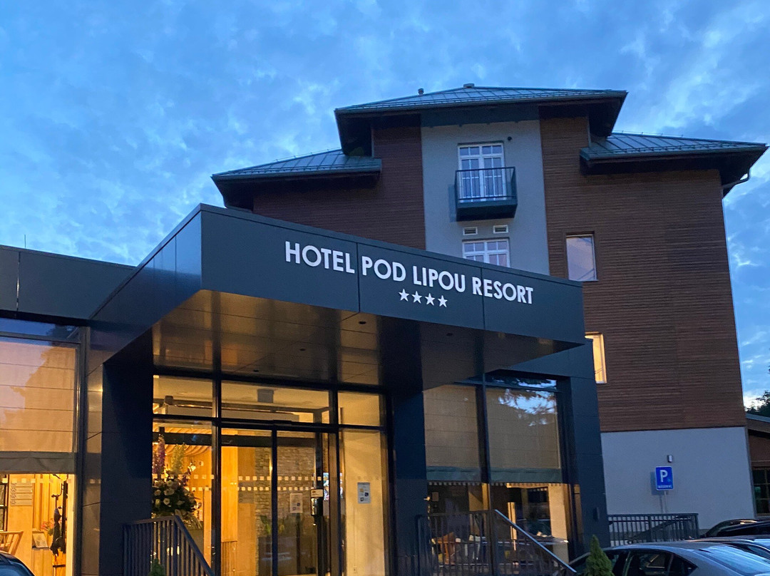 Hotel pod Lipou主图