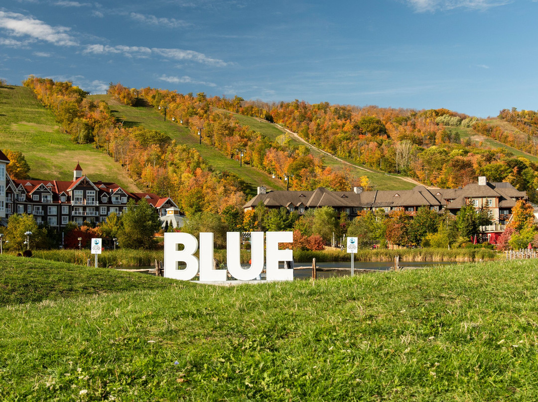 蓝山酒店住宿-马赛克 - 蓝山度假村