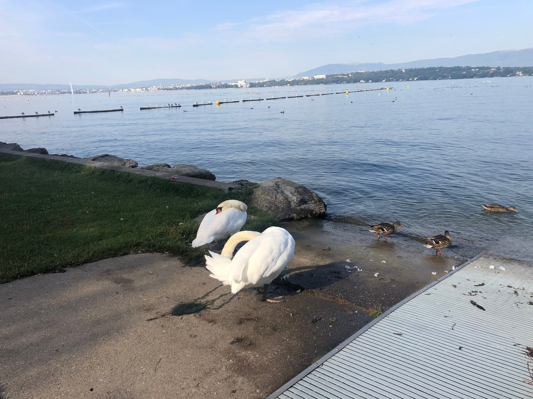 TCS Camping Genève-Vésenaz