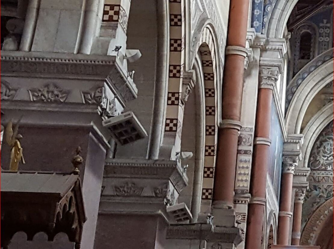 Basilique Notre-Dame de Brebières景点图片