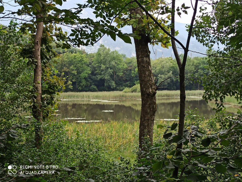 Lago Minisini景点图片