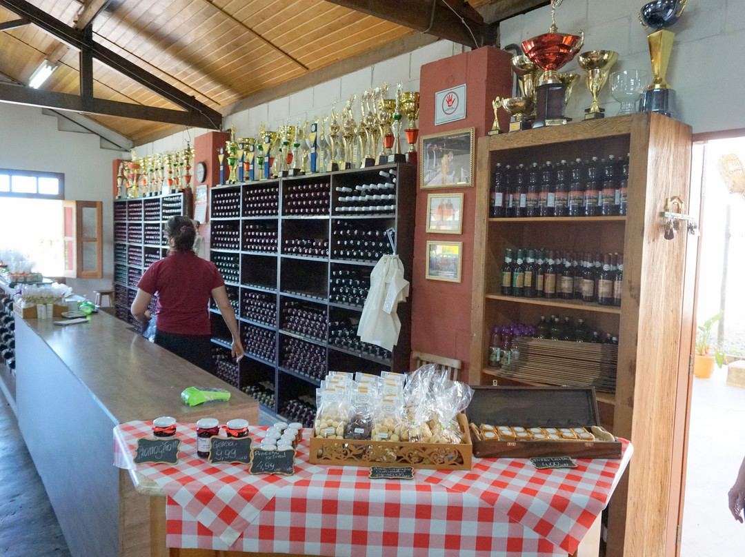 Adega Familia Ferragut-维涅杜必去景点