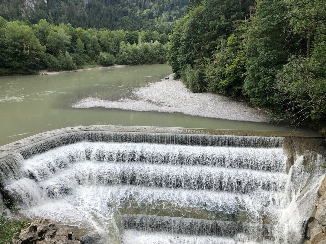 Baumkronenweg Ziegelwies景点图片