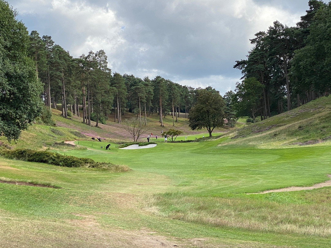 Hindhead Golf Club景点图片