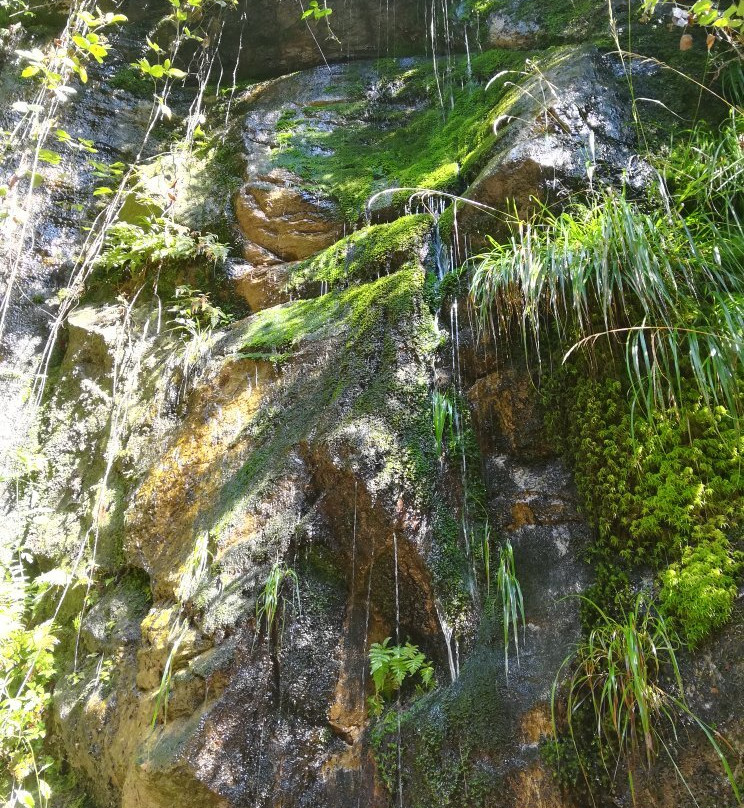 Edmundova soutěska景点图片