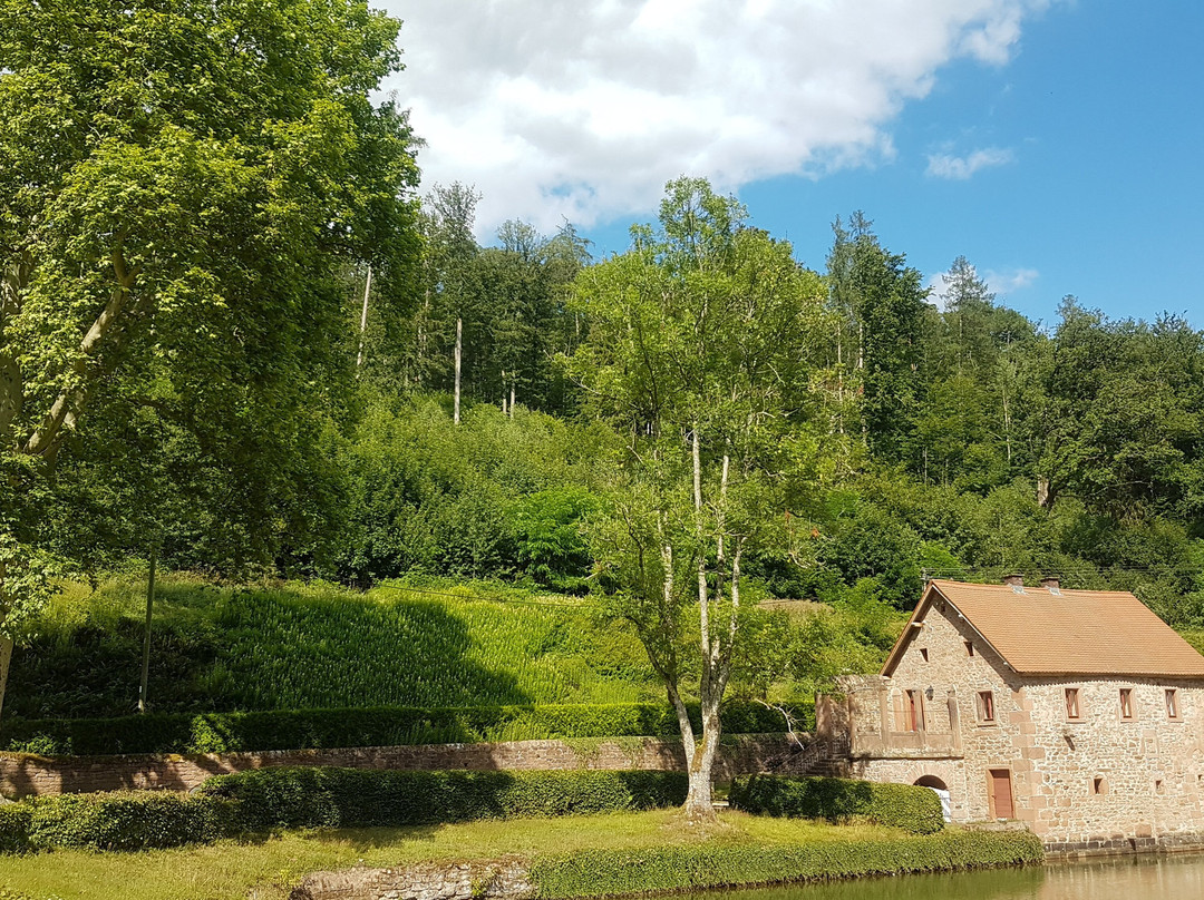 Schlosshotel Mespelbrunn主图