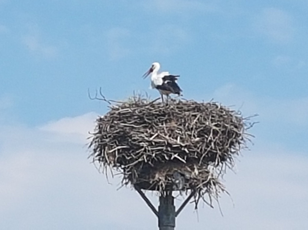 Hamburg Anders Erfahren-汉堡必去景点