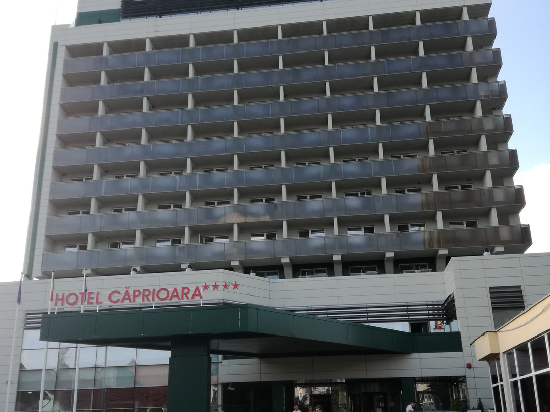 Hotel Caprioara主图