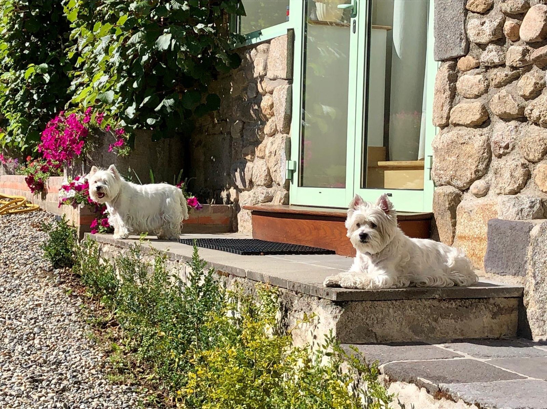 Divin Mélange主图