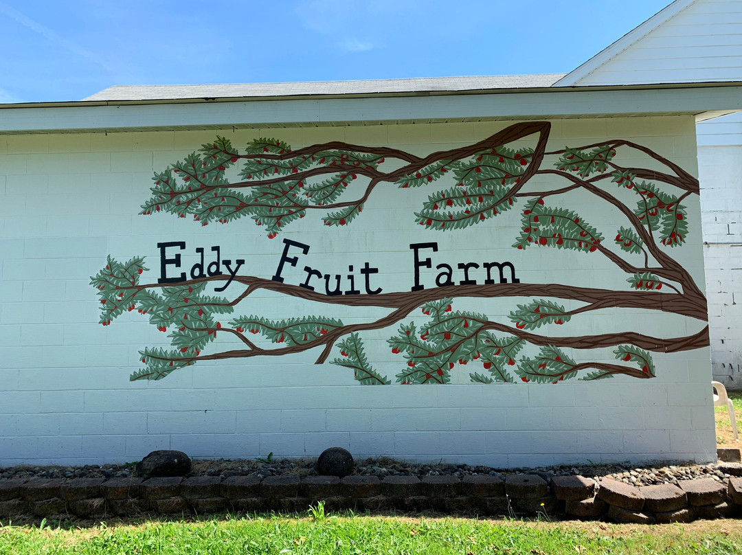 Eddy Fruit Farm景点图片