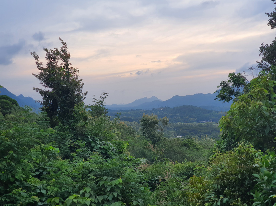 Arangala Forest Lodge主图