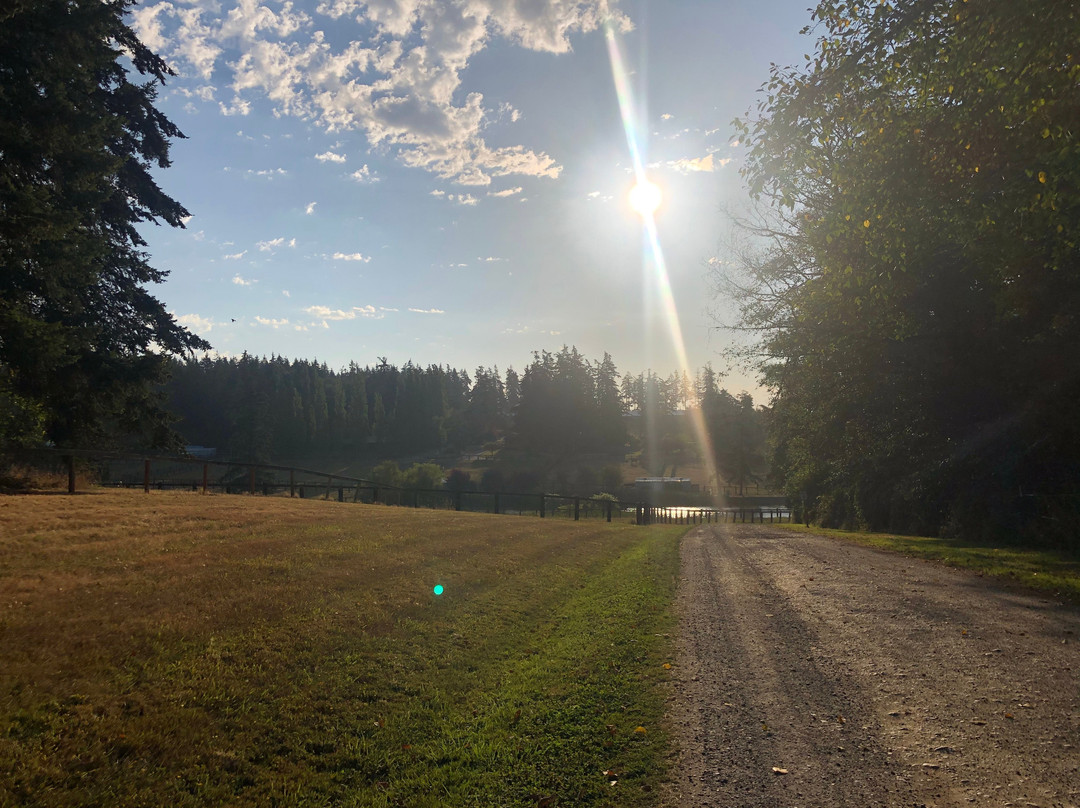 Wildwood Farm Bed and Breakfast主图