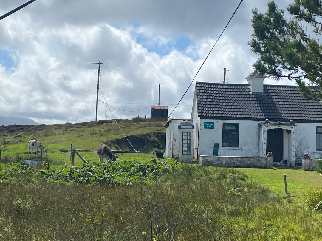 Inishbiggle Island Ferry Service景点图片