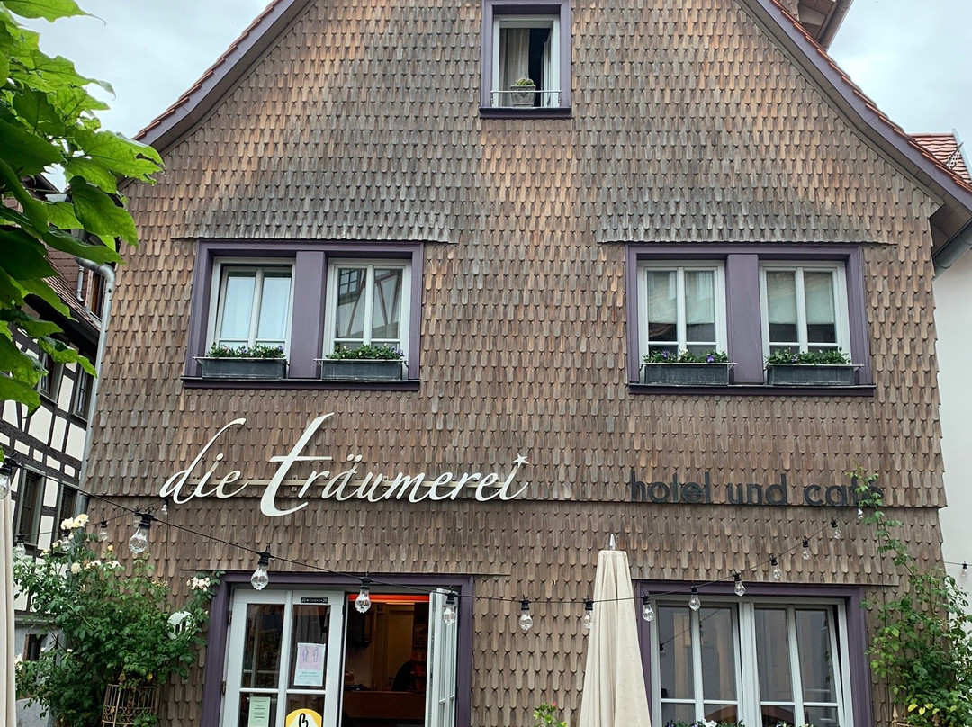 Die Traeumerei主图