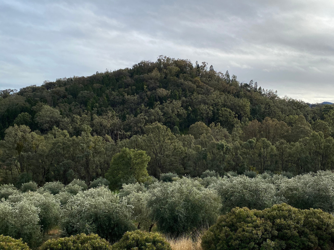 Wombadah Guest House主图