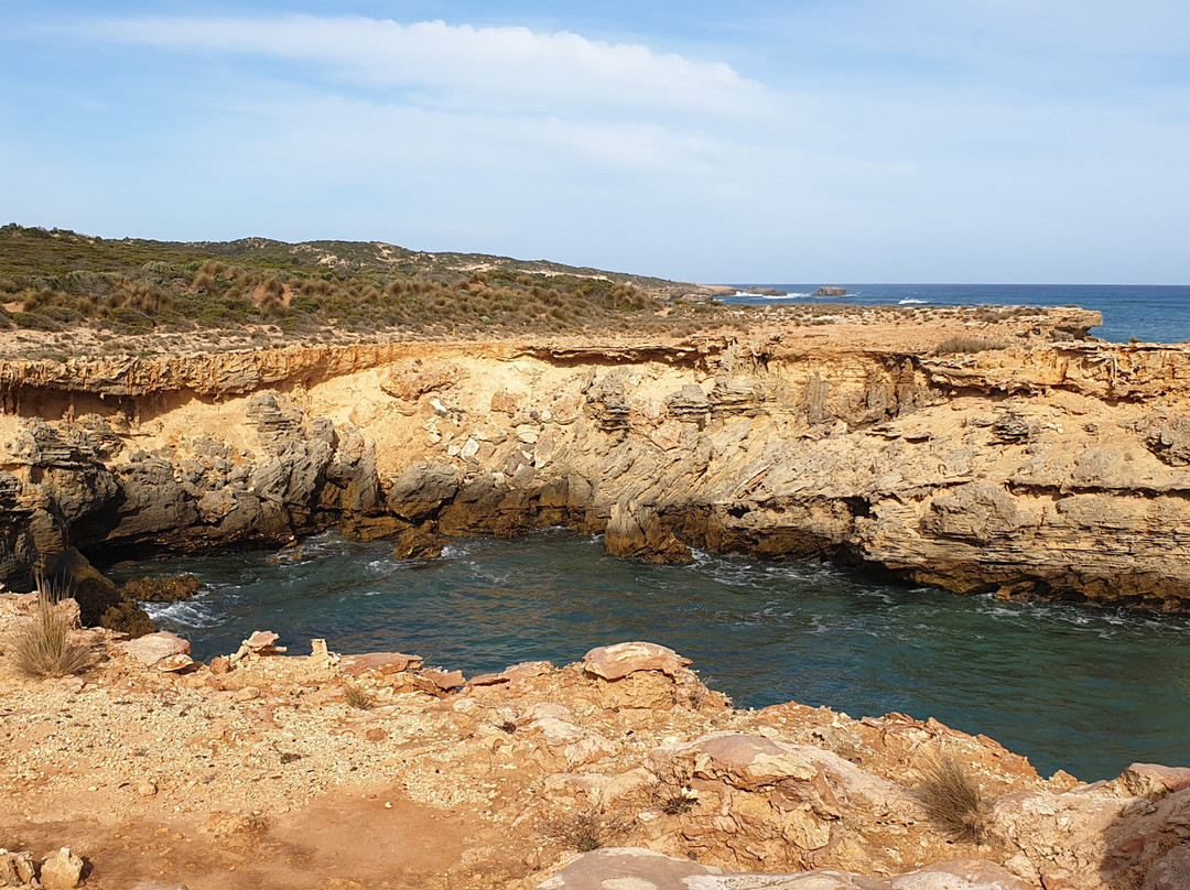 Cape Buffon景点图片