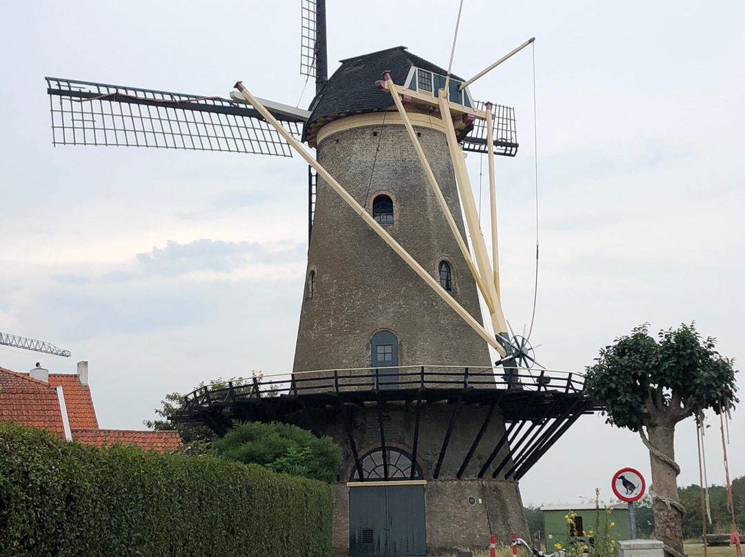 molen Den Haas